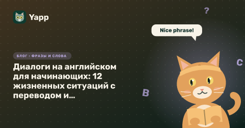 Диалоги на английском для начинающих: 12 жизненных ситуаций с переводом и разбором фраз