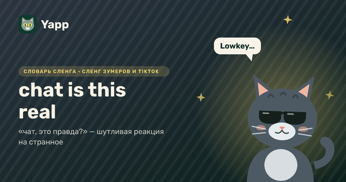 chat is this real — «чат, это правда?» — шутливая реакция на странное: карточка из словаря английского сленга
