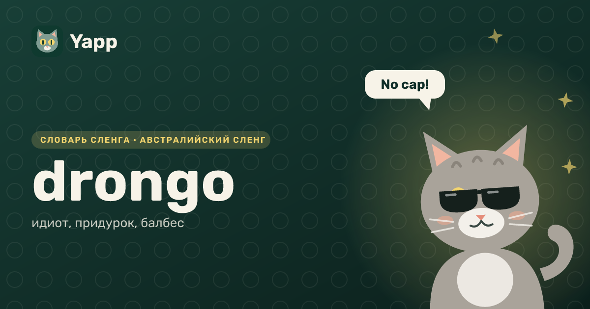 drongo — идиот, придурок, балбес: карточка из словаря английского сленга