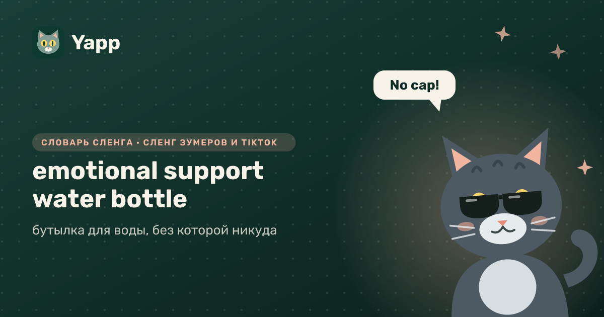 emotional support water bottle — бутылка для воды, без которой никуда: карточка из словаря английского сленга