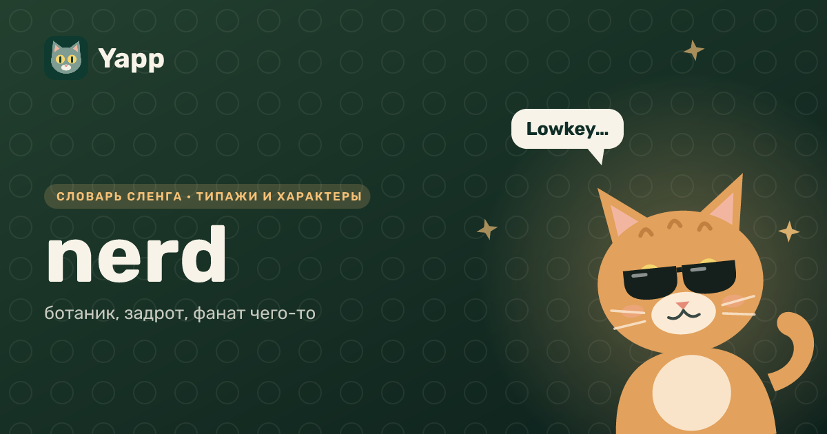 nerd — ботаник, задрот, фанат чего-то: карточка из словаря английского сленга