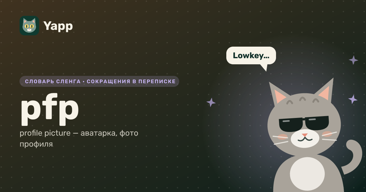 pfp — profile picture — аватарка, фото профиля: карточка из словаря английского сленга