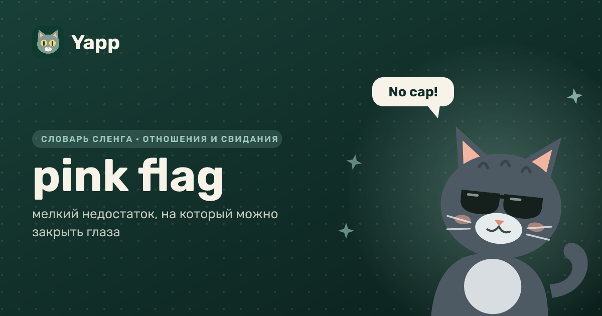 pink flag — мелкий недостаток, на который можно закрыть глаза: карточка из словаря английского сленга