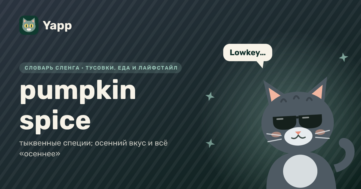 pumpkin spice — тыквенные специи; осенний вкус и всё «осеннее»: карточка из словаря английского сленга