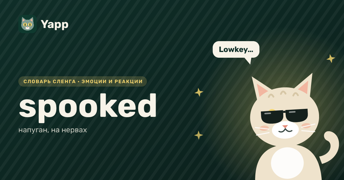 spooked — напуган, на нервах: карточка из словаря английского сленга