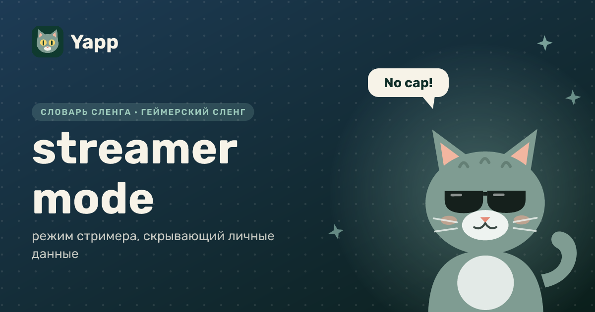 streamer mode — режим стримера, скрывающий личные данные: карточка из словаря английского сленга