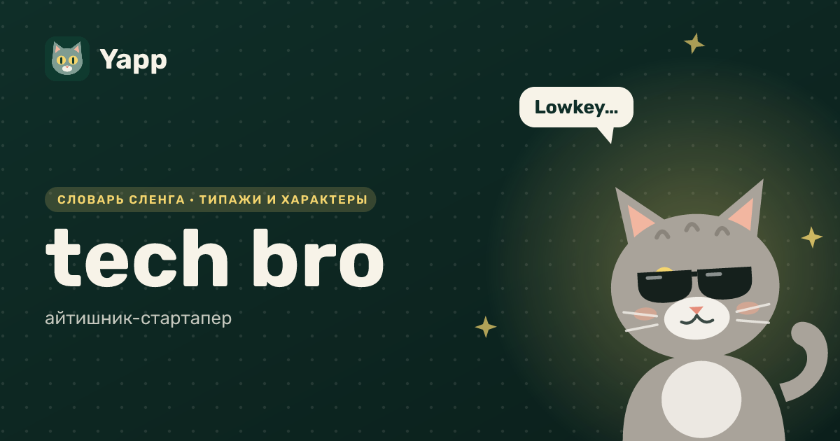 tech bro — айтишник-стартапер: карточка из словаря английского сленга