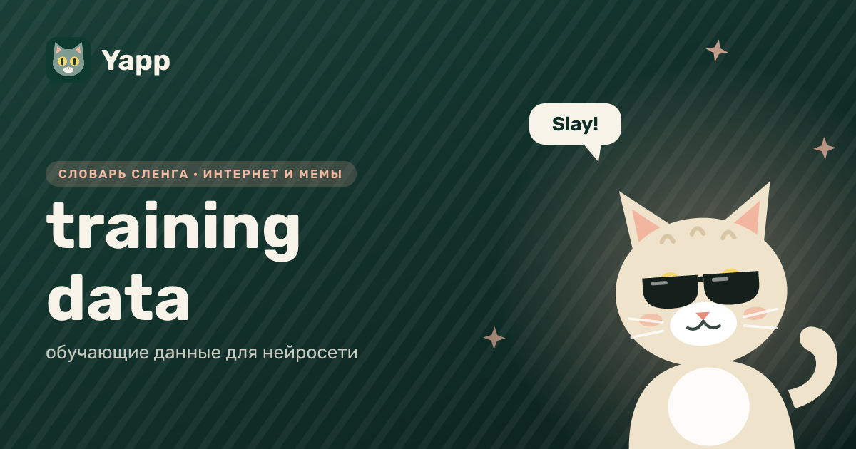 training data — обучающие данные для нейросети: карточка из словаря английского сленга