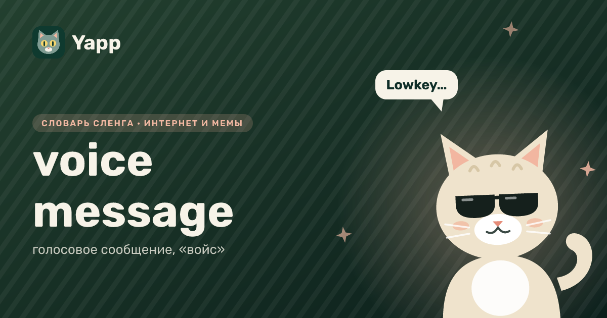 voice message — голосовое сообщение, «войс»: карточка из словаря английского сленга